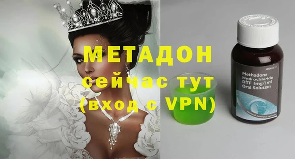 сатива Инта