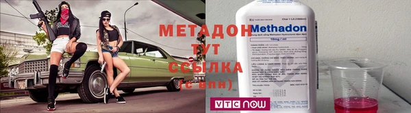 сатива Инта