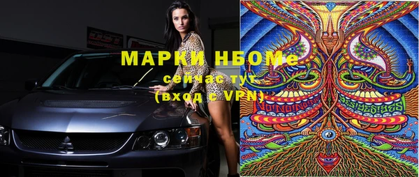 сатива Инта