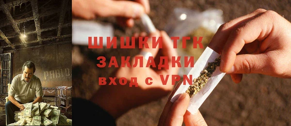сатива Инта